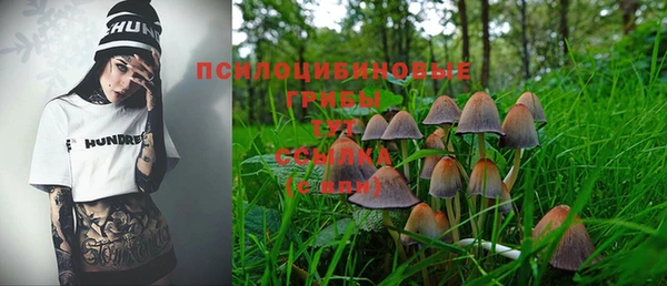 спиды Верея